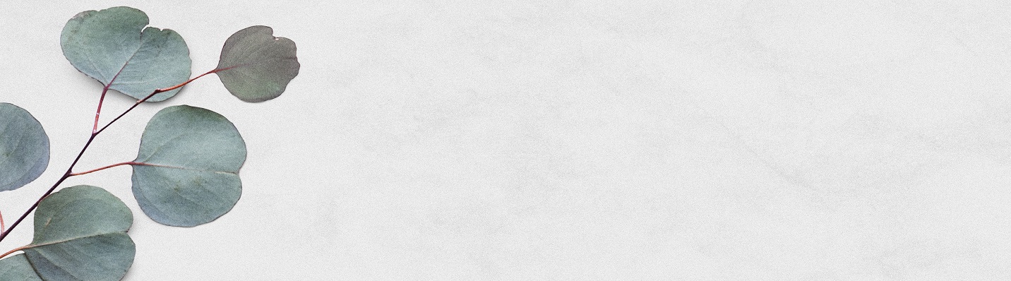 eucalyptus-slider
